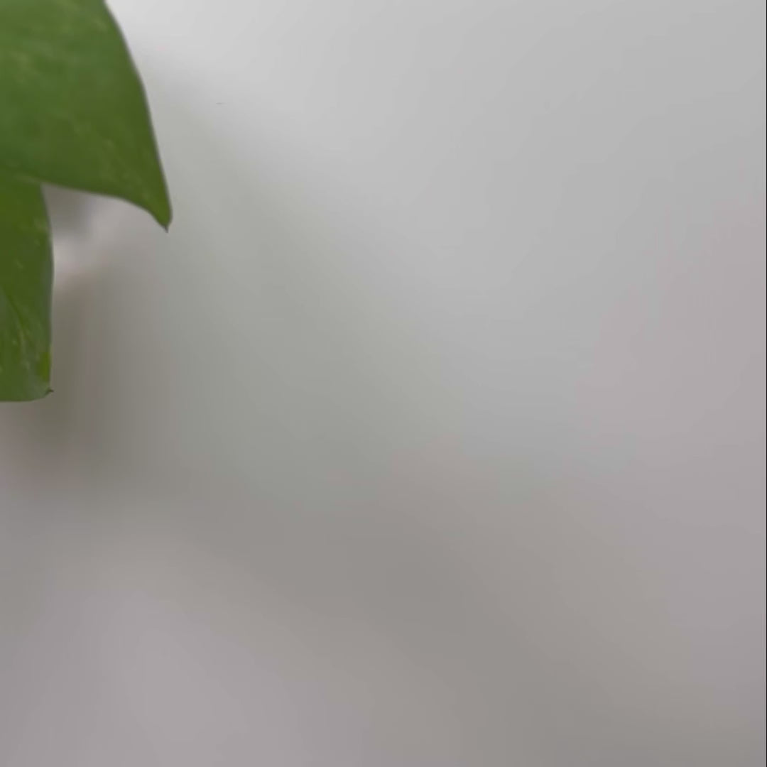 Ceramic Face Mask Bowl