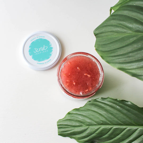 Pom Pom - Sugar Scrub