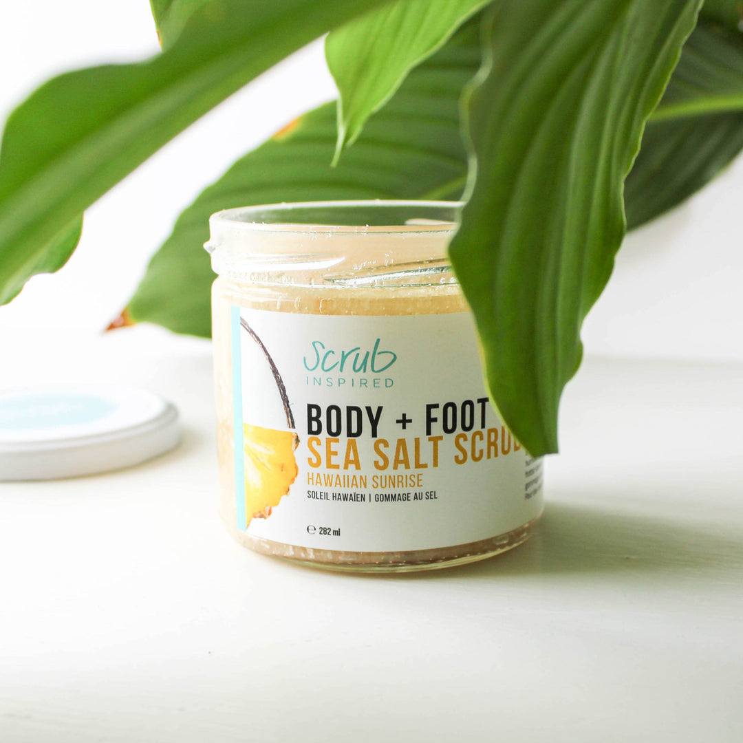 The Pineapple Collection +plus