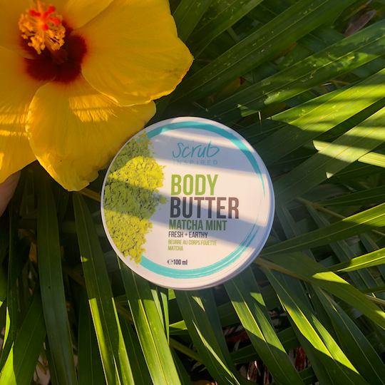 Matcha Mint -  Body Butter