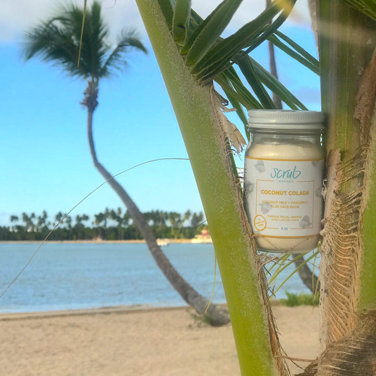 Coconut Colada [clay facial mask]