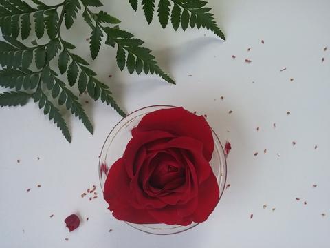 Valentine's Day Scrub Inspired